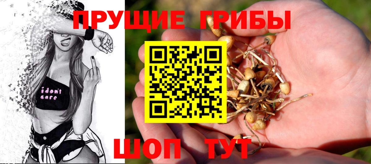 Галлюциногенные грибы Psilocybine cubensis  Галлюциногенные грибы Magic Shrooms  Вход с VPN  купить  цена  Москва 